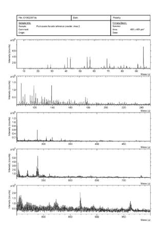 Time-of-Flight Secondary Ion Mass Spectrometry