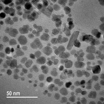 Transmission Electron Microscopy